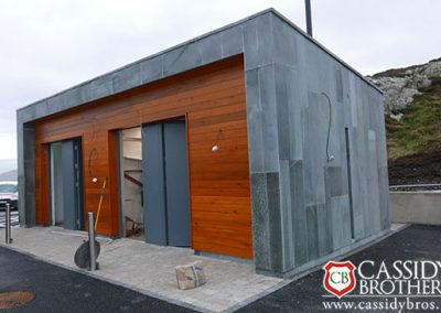 Irish Blue Quartz Polished Cladding